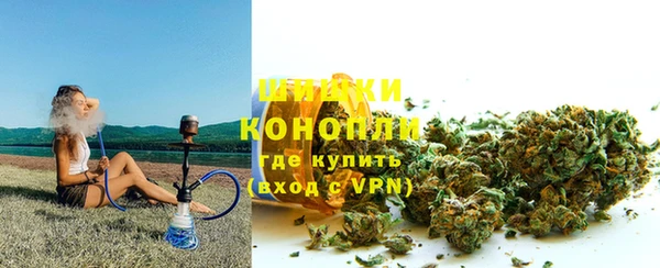 мдпв Кодинск