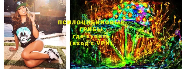 мдпв Кодинск